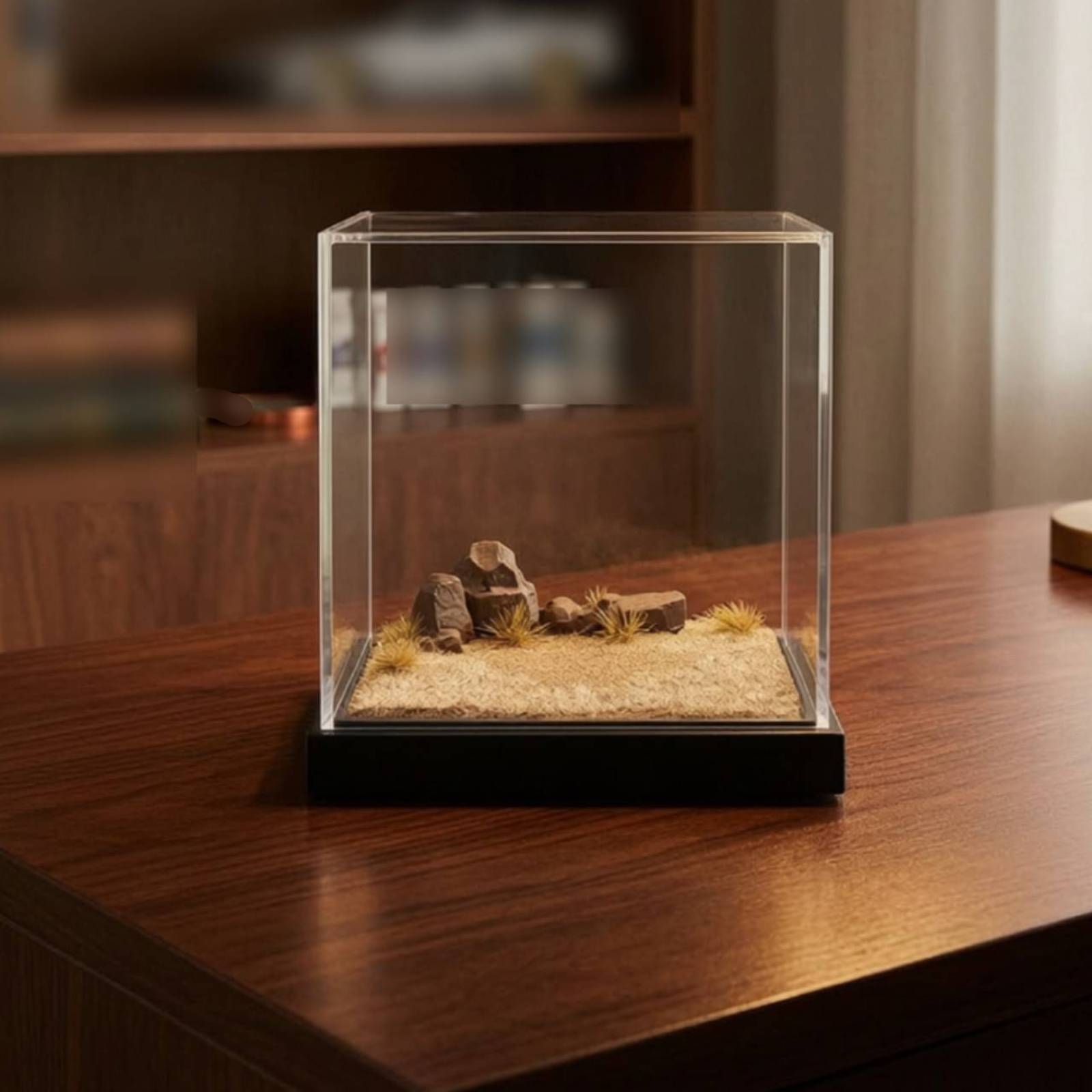 Miniature Scene Platform Clear - Display Case Acrylic 评论和价格